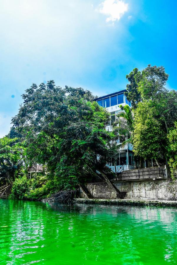Villa Araliya Hikkaduwa Exteriör bild