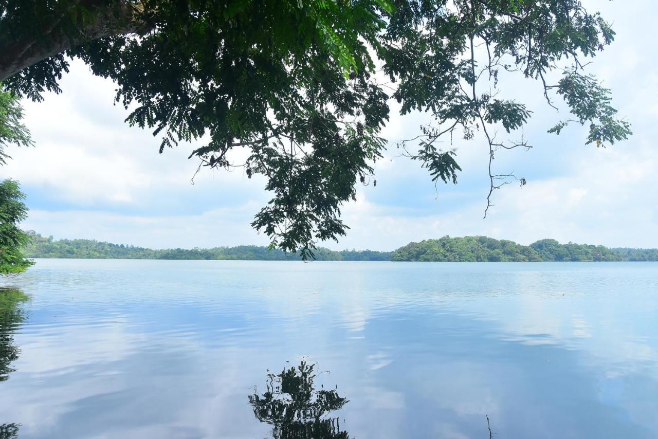 Villa Araliya Hikkaduwa Exteriör bild