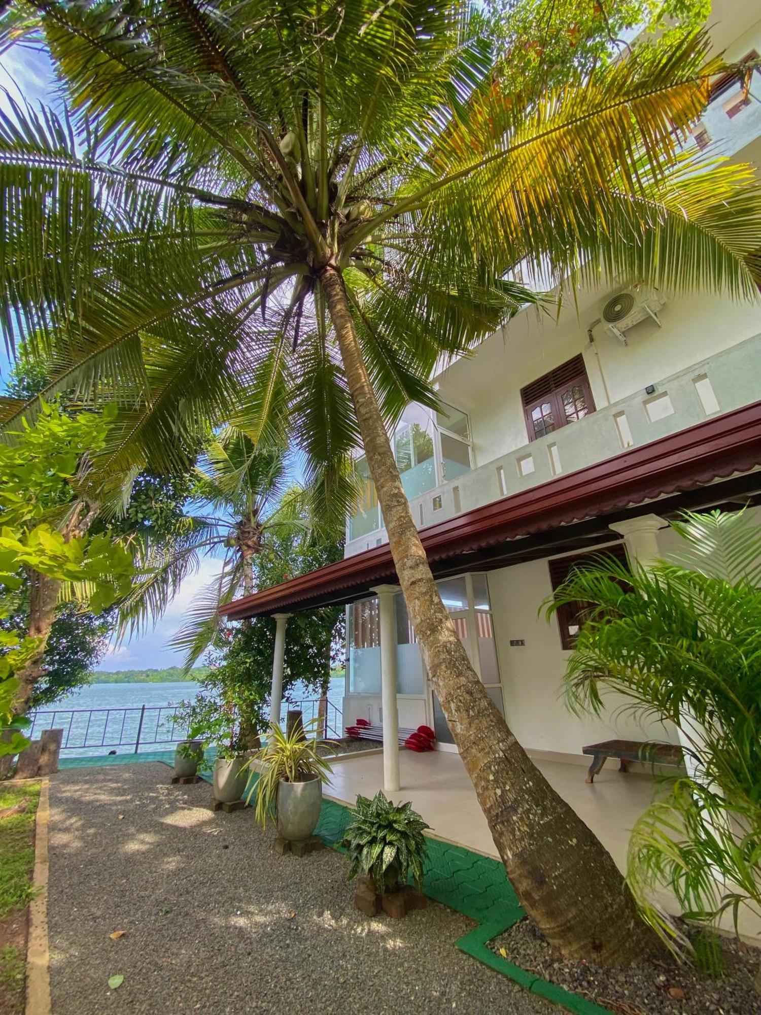 Villa Araliya Hikkaduwa Exteriör bild